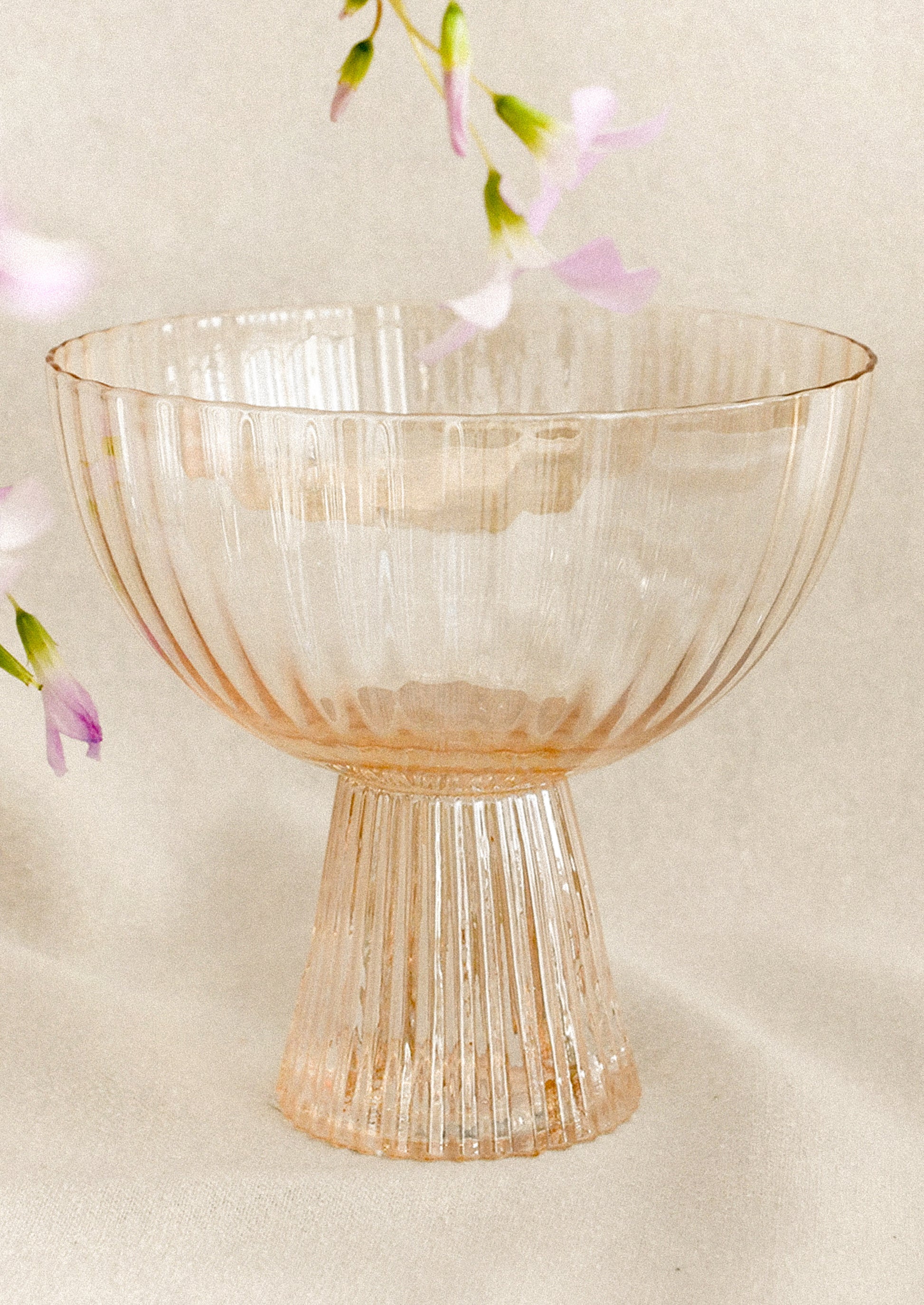 Nèctar Coupe Glass