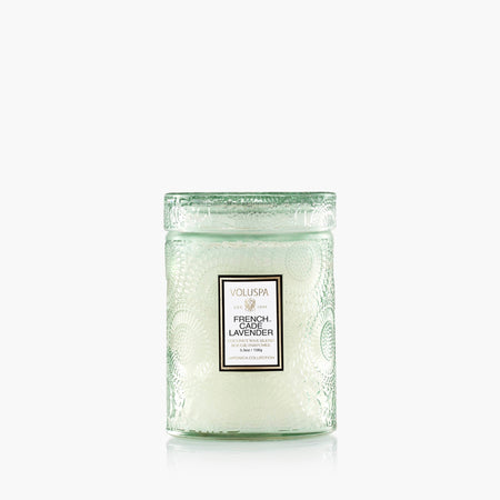 French Cade Lavender